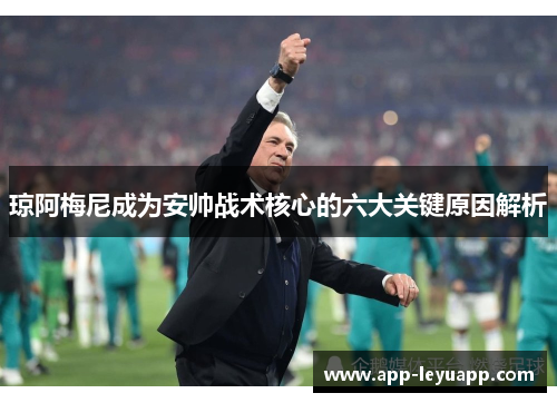 琼阿梅尼成为安帅战术核心的六大关键原因解析