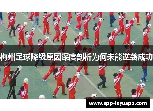 梅州足球降级原因深度剖析为何未能逆袭成功