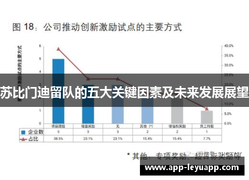 苏比门迪留队的五大关键因素及未来发展展望
