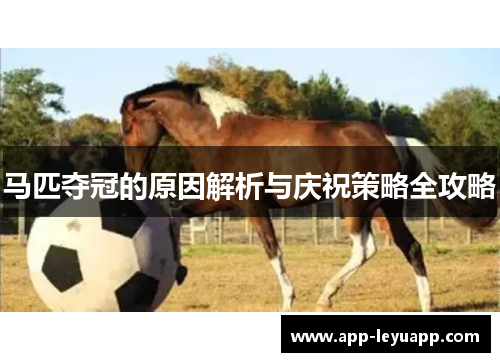 马匹夺冠的原因解析与庆祝策略全攻略