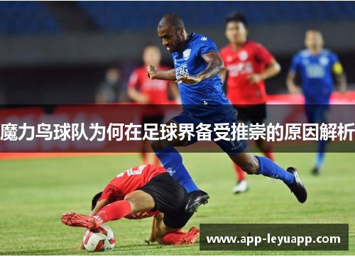 魔力鸟球队为何在足球界备受推崇的原因解析