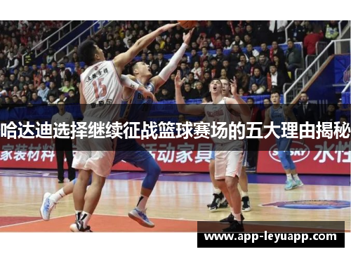 哈达迪选择继续征战篮球赛场的五大理由揭秘